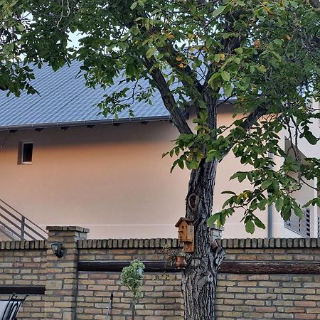 Sobe Ava Appartement Palić Buitenkant foto